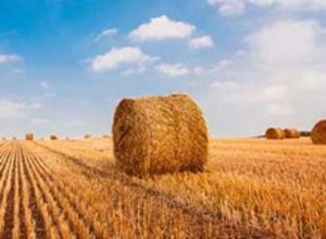 Seven members of Missouri’s congressional delegation ask US Ag Secretary to open lands for emergency haying