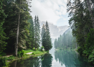 Trail cameras prohibited on KDWP-managed Lands in Kansas