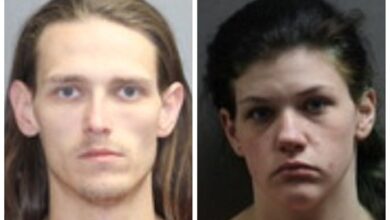 Photo of Parsons traffic stop yields drugs, stolen gun