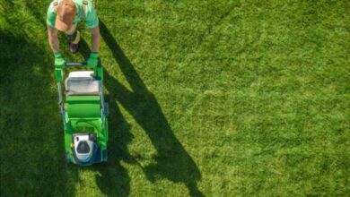 Photo of Oklahoma man finds swastika cut into grass in front of his home