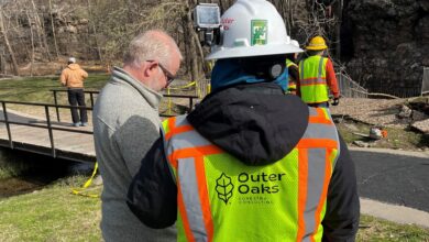 Photo of Joplin Parks and Rec. Department updates tree inventory in city parks