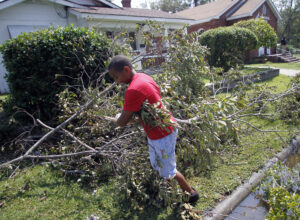 Heavy winds overnight result in power outages, fallen branches