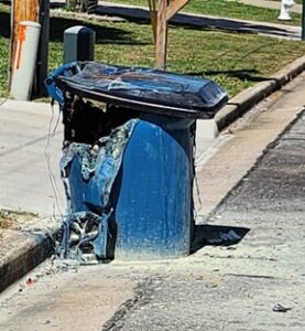 Fireworks: Hazardous to people, pets and trashcans