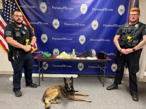 Wisdom and Eichinger Bust 1