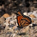 Water Infrastructure Climate Change