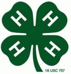 4-H service project to benefit Newton County Ambulance District Stations