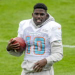 Germany Dolphins Football