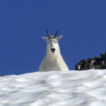 Pictures Of The Week North America Photo Gallery