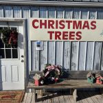 465727836 817078433832577 6639851544893773231 N