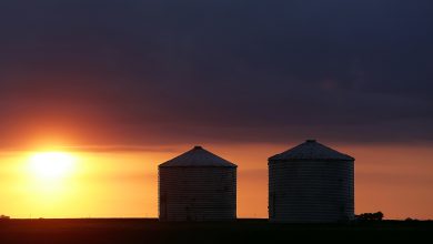 Photo of Dallas County authorities investigating death of man in large grain bin