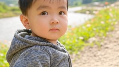 Photo of DED awards more than $7.6 million in tax credits to 44 organizations