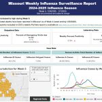 Screenshot 2025 02 13 133342