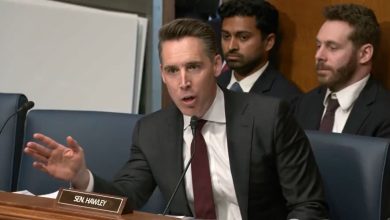 Photo of “Lying on a visa is not speech”, Hawley slams leftists who support domestic terrorists over Jewish students