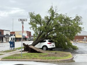 492172256 1523244388998296 3556084019077122221 n