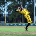 Ap22166823297545 (1)