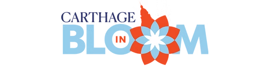 Screenshot 2025 05 23 120135