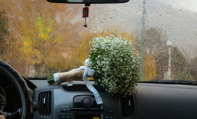 Negar mz aboabrdfeh0 unsplash