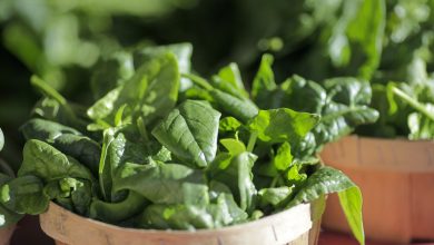 Photo of What’s going on in the 4-States area this weekend?