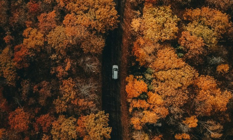 Hans ekliq7q67 i unsplash