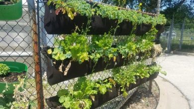 Photo of Food insecure cost-share grant recipients announced