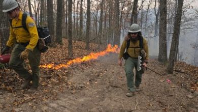 Photo of Forest Service contains wildfire south of Cassville