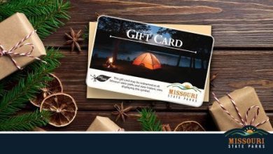 Photo of Looking for a last minute holiday gift?